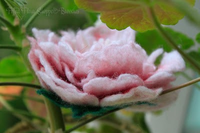 Мокрое валяние: цельноваляный пион, часть 3