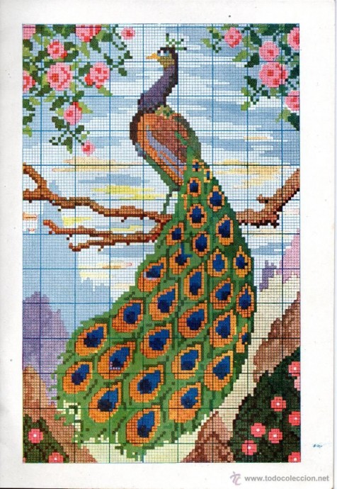 Вышиваем прекрасных павлинов