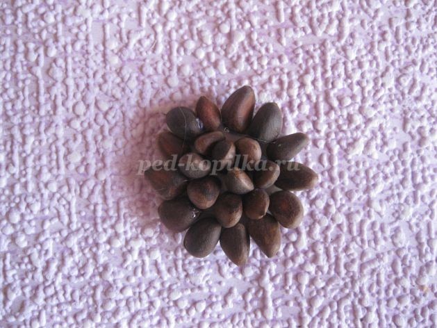 Цветы из косточек фиников и кедровых орехов: часть 2