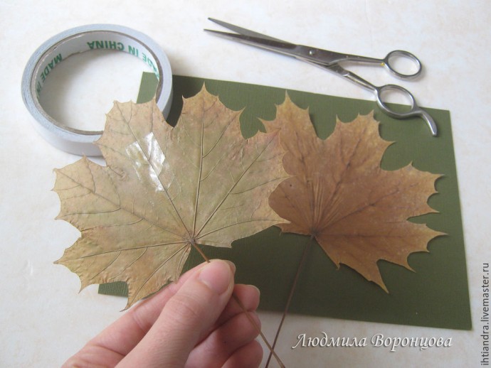 Расписные листья: часть 1