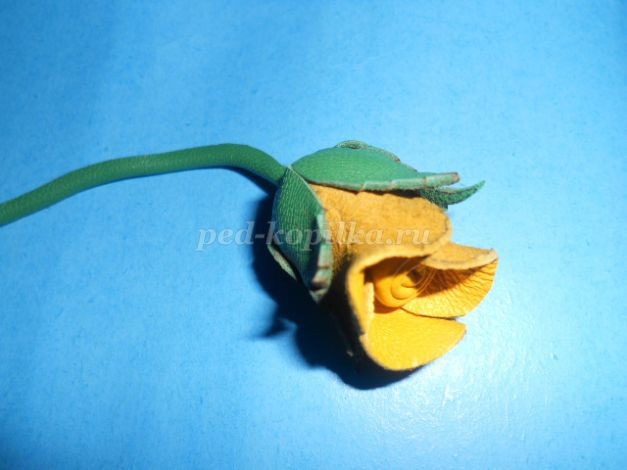 ​Роза из кожи: часть 3