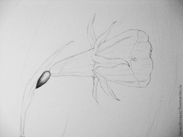 ​Рисуем изящный необычный цветок: часть 2