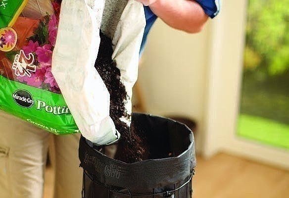 Вертикальная клумба с петунией