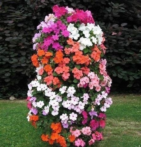 Вертикальная клумба с петунией