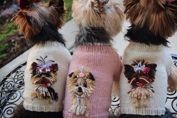 Идеи для собачек