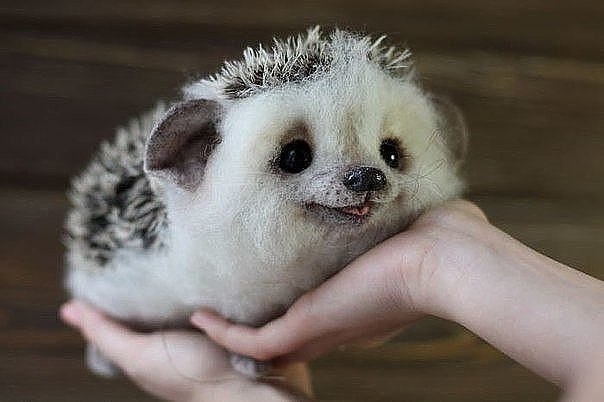 Игрушки, сделанные из шерсти