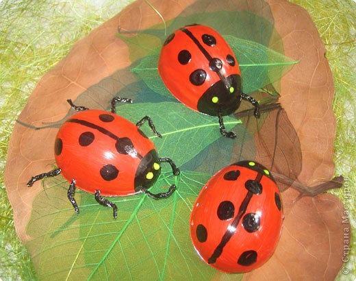 Божья коровка