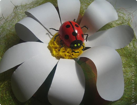 Божья коровка