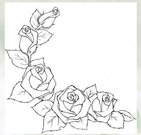 Учимся рисовать розы