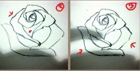 Учимся рисовать розы