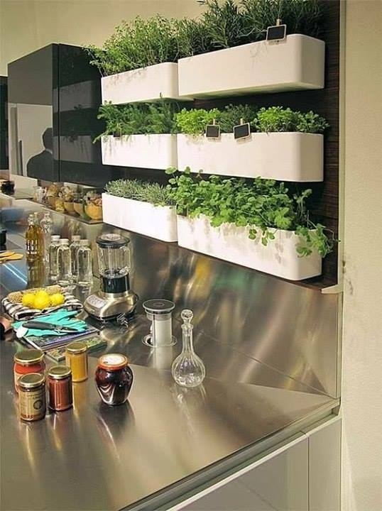 Зелень на кухне