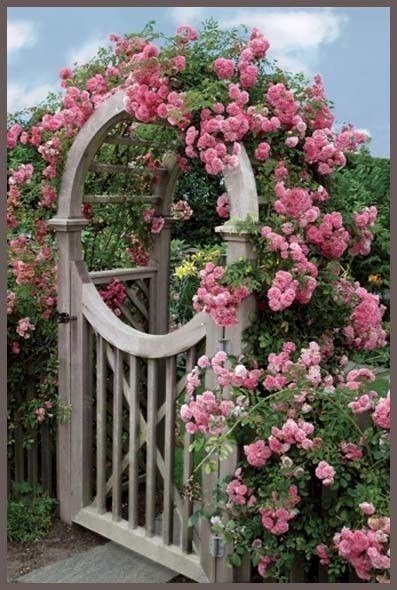 Прекрасные арки из цветов