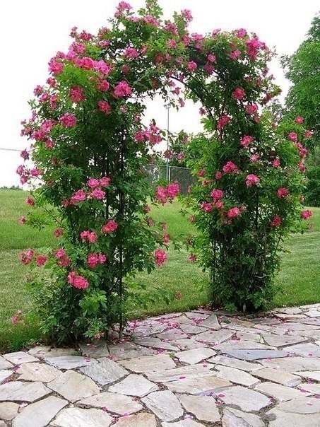 Прекрасные арки из цветов