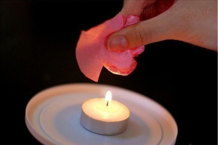 Нежный цветочек