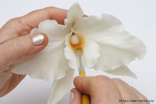 Мастер-класс: орхидея