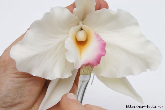 Мастер-класс: орхидея