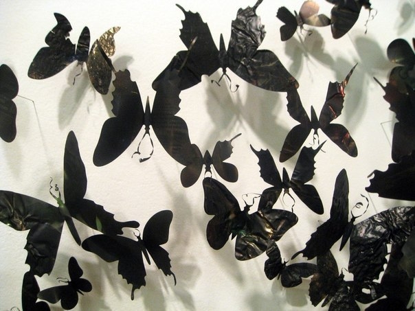Бабочки как искусство