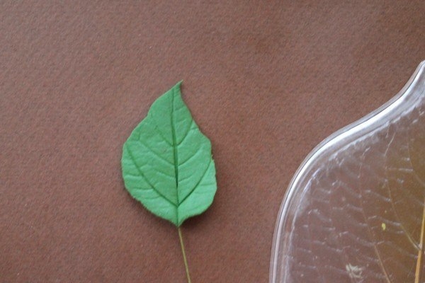 Сердце из роз из полимерной глины