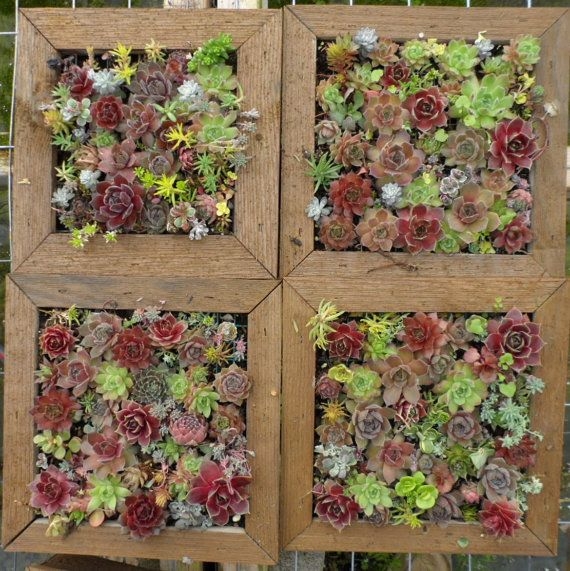 Вертикальные сады. Идея для декора.