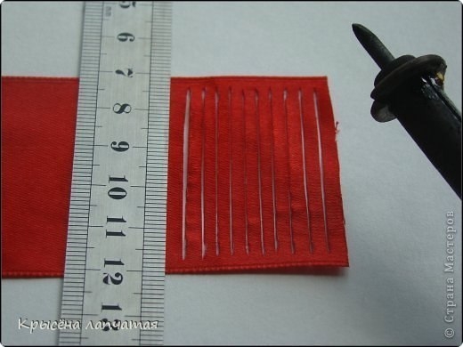 Одуванчики