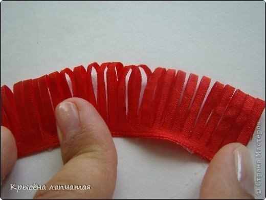 Одуванчики