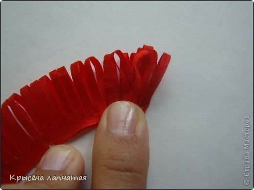 Одуванчики