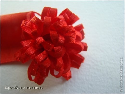 Одуванчики