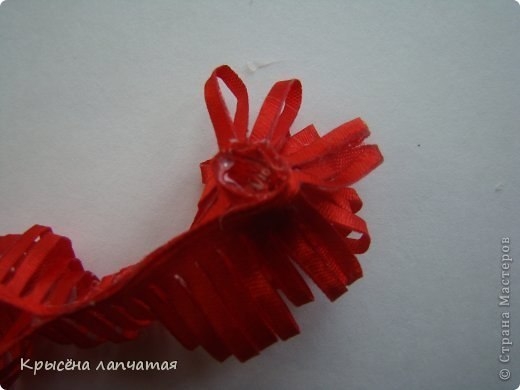 Одуванчики