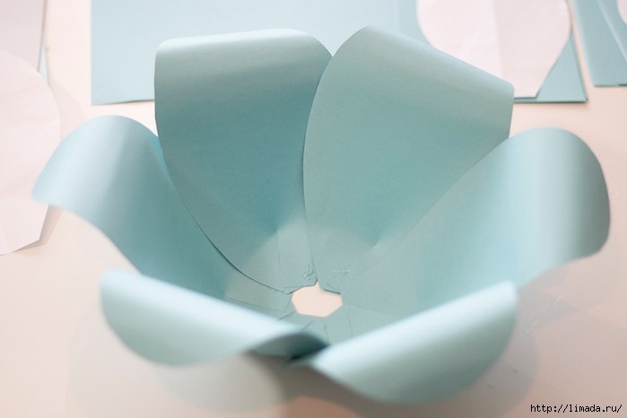 Гигантские цветы из бумаги.