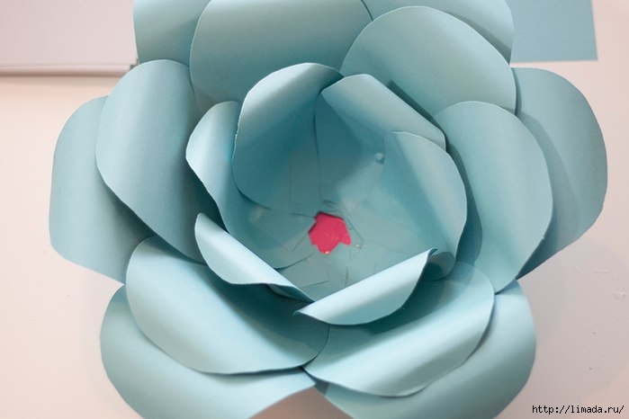 Гигантские цветы из бумаги.