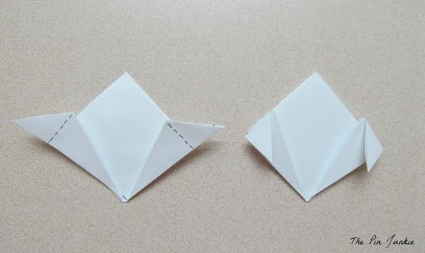 Цветы из бумаги