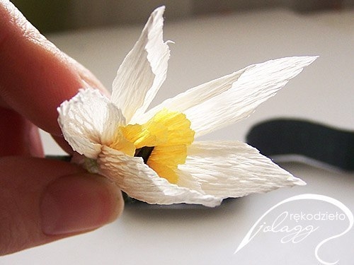 Нарциссы из креповой бумаги