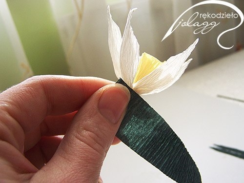 Нарциссы из креповой бумаги