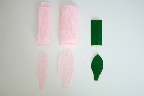 Пионы из креп. бумаги