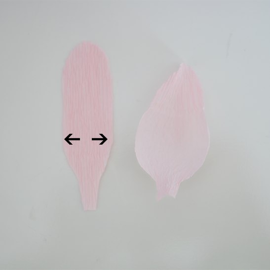 Пионы из креп. бумаги