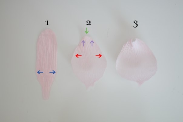 Пионы из креп. бумаги