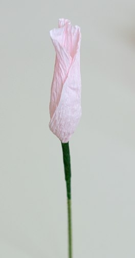 Пионы из креп. бумаги