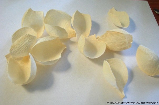 Английская роза из конфет