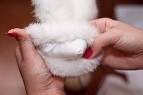 Шьём варежки сами из искусственного меха.