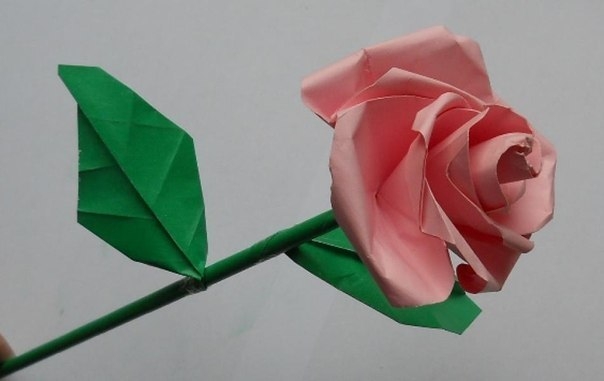 Бумажная роза. Мастер-класс
