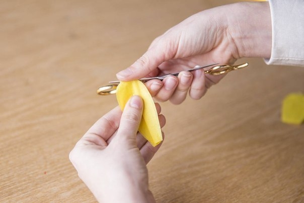 Розы из бумаги. Мастер-класс