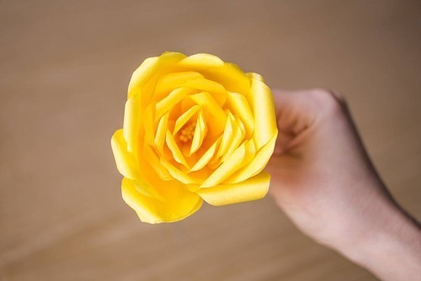 Розы из бумаги. Мастер-класс