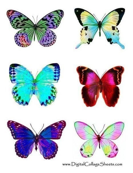 Бабочки. Шаблоны.