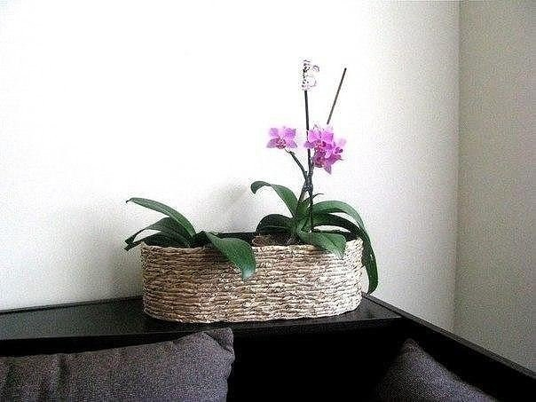 Ты можешь красиво оформить горшки