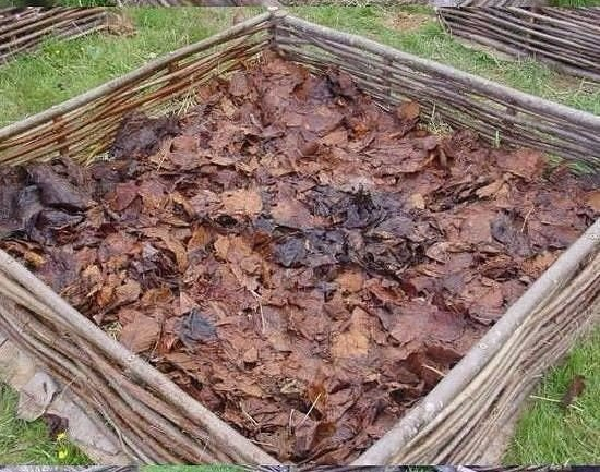 Вариант приподнятой грядки