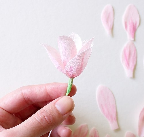 Цветы из креп-бумаги