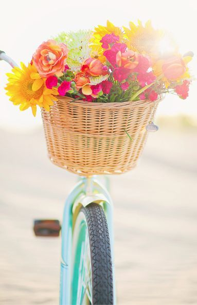 Расцветшие велосипеды