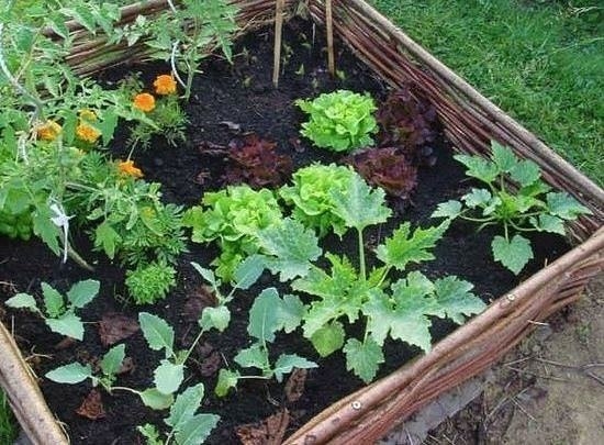 Делаем поднятую грядку Делаем поднятую грядку