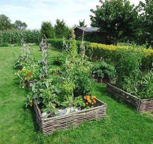 Делаем поднятую грядку Делаем поднятую грядку