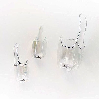 Очаровательные котики-горшки из пластиковых бутылок